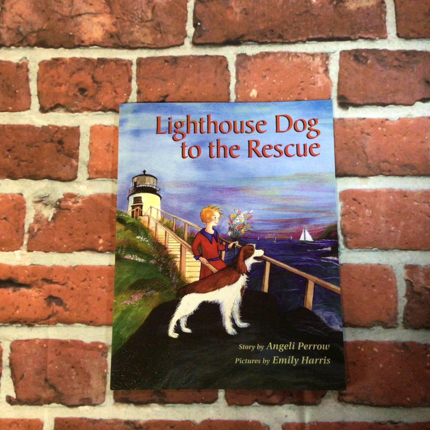 Lighthouse Dog to the Rescue