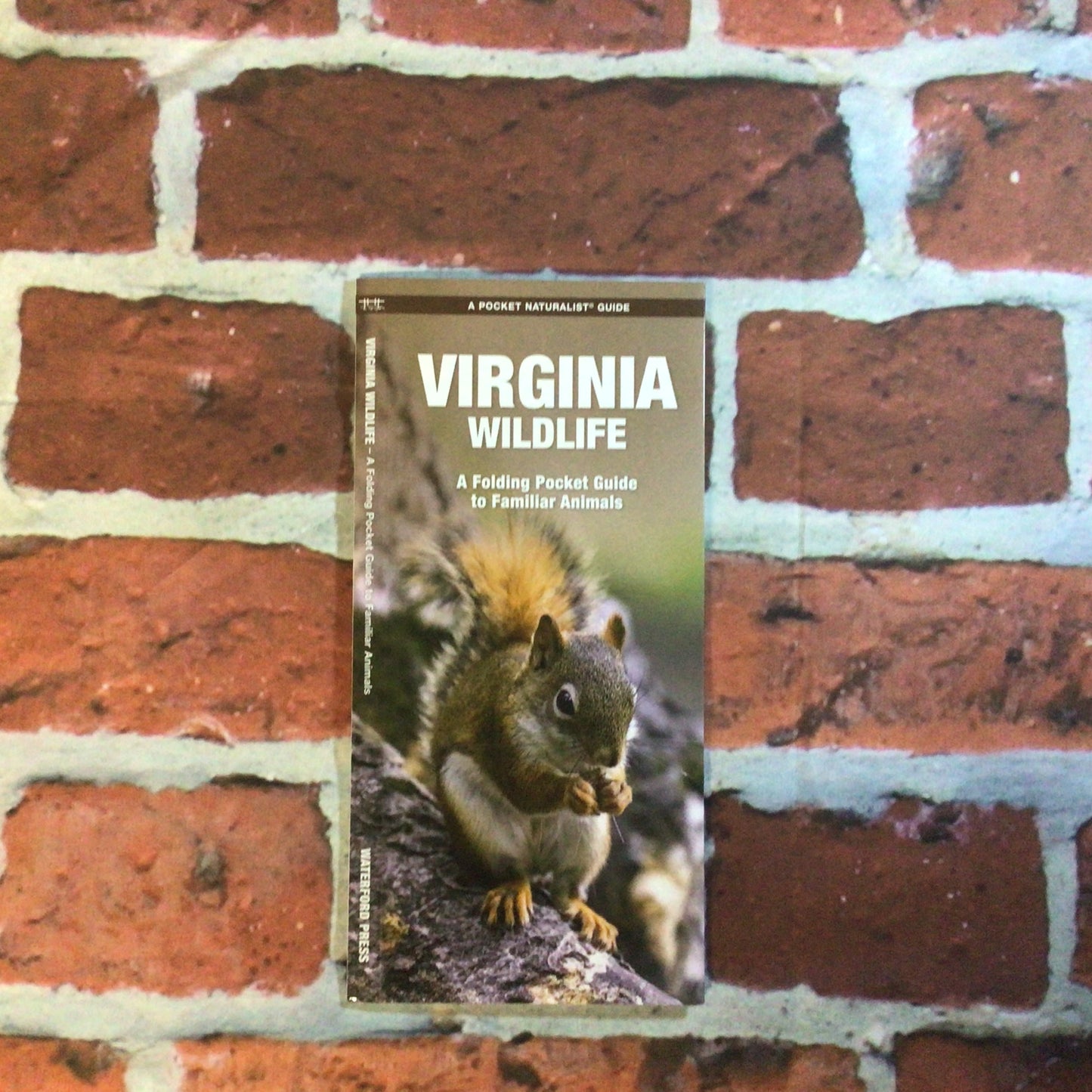 Pocket Guide Virginia Wildlife