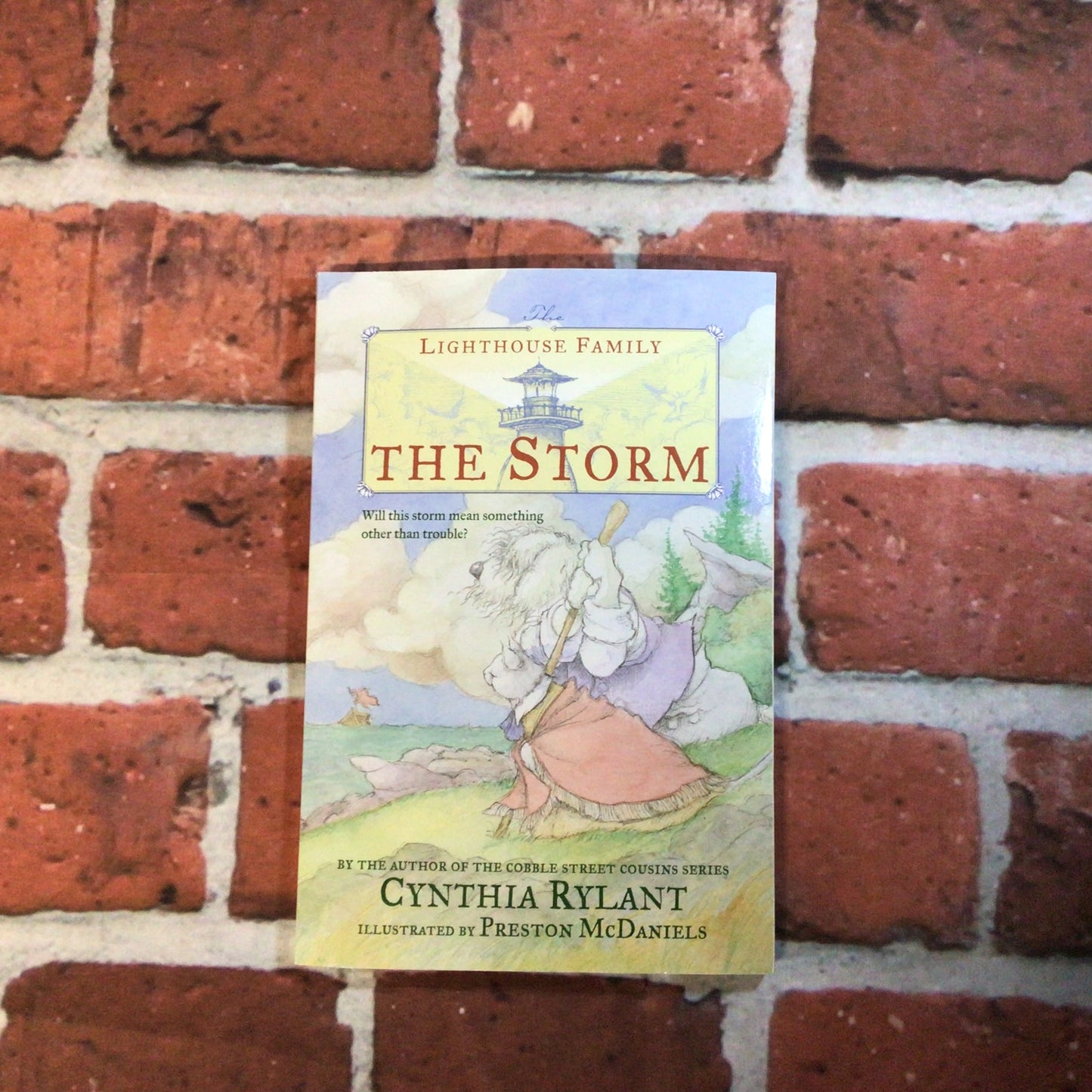 The Storm