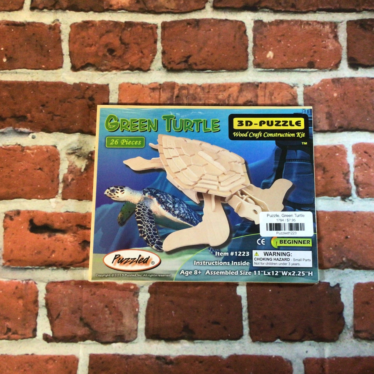 Puzzle, Green Turtle
