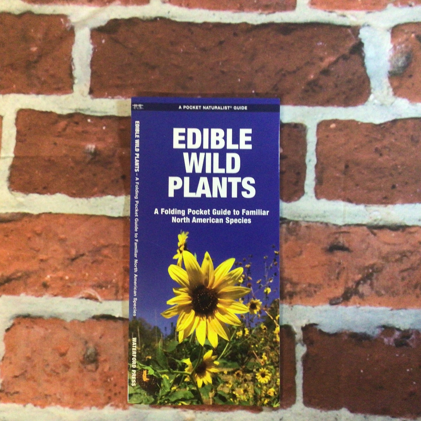 Pocket Guide to Edible Wild Pla