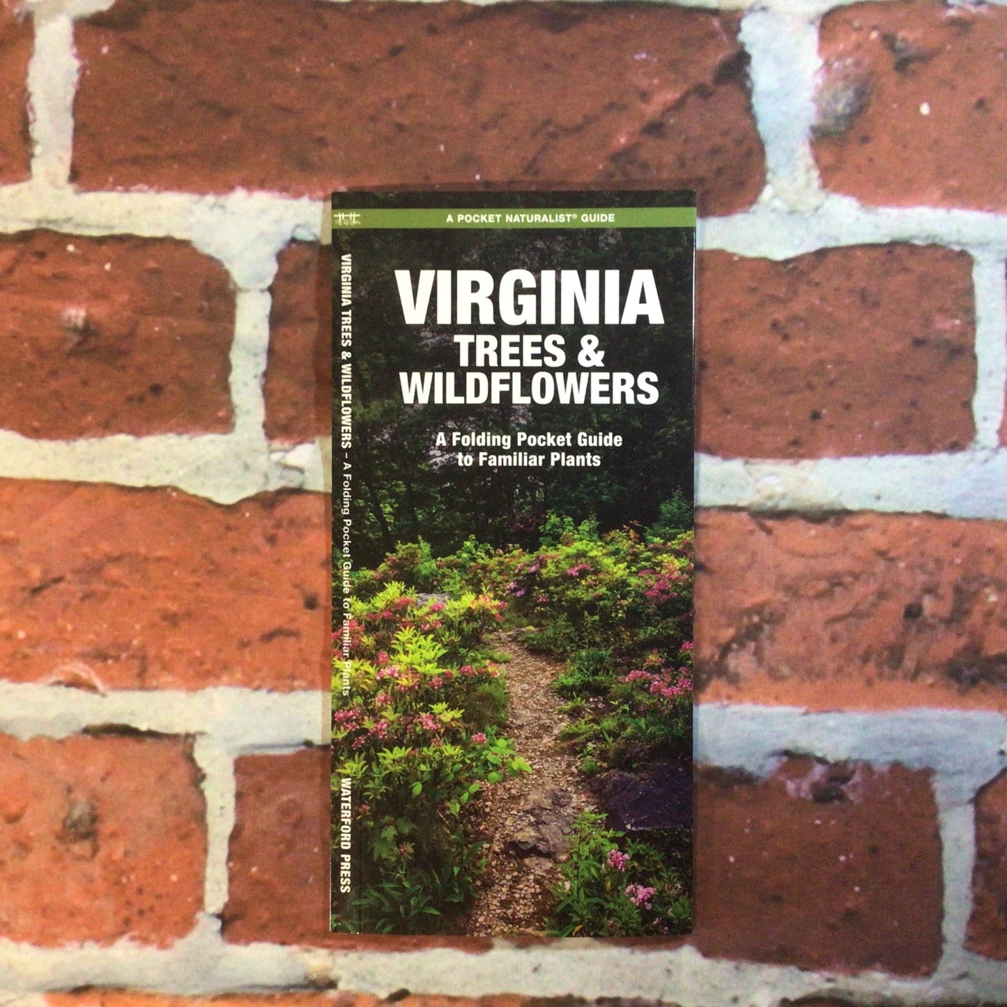 Pocket Guide Va Trees & Wild Fl