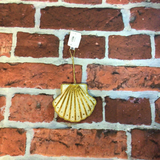 Scallop Shell
