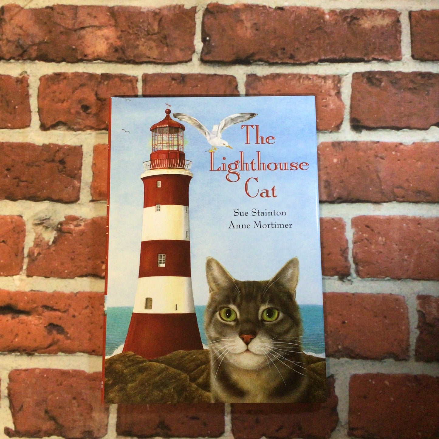 The Lighthouse Cat