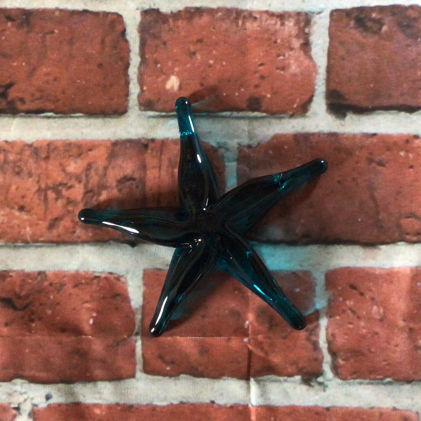 Blown Starfish