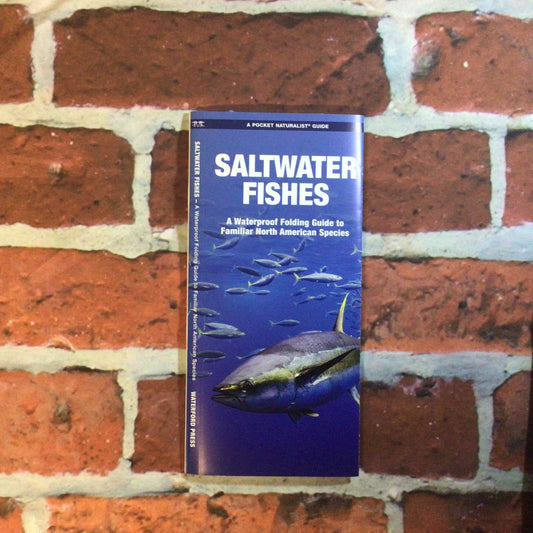 Pocket Guide Saltwater Fishes