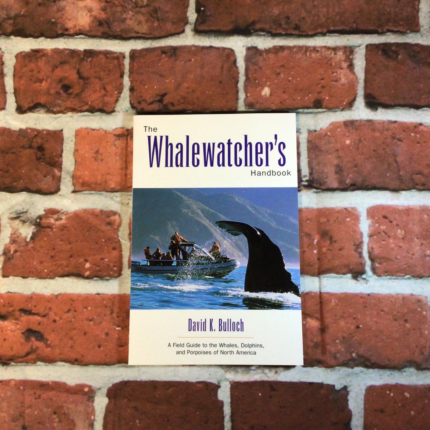 Whale Watchers