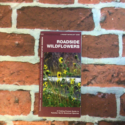 Pocket Guide Roadside Wildflowe