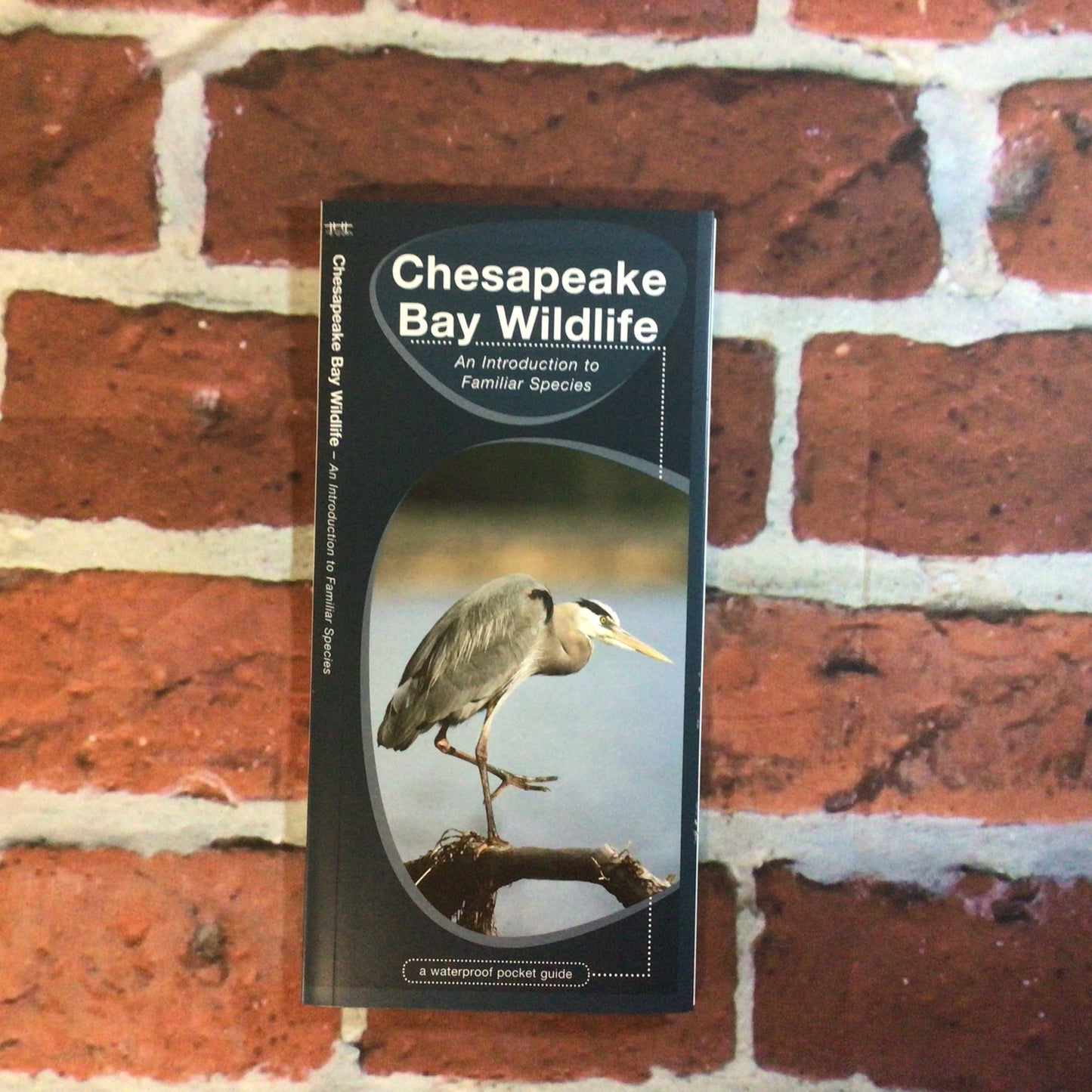 Pocket Guide Ches Bay Wildlife