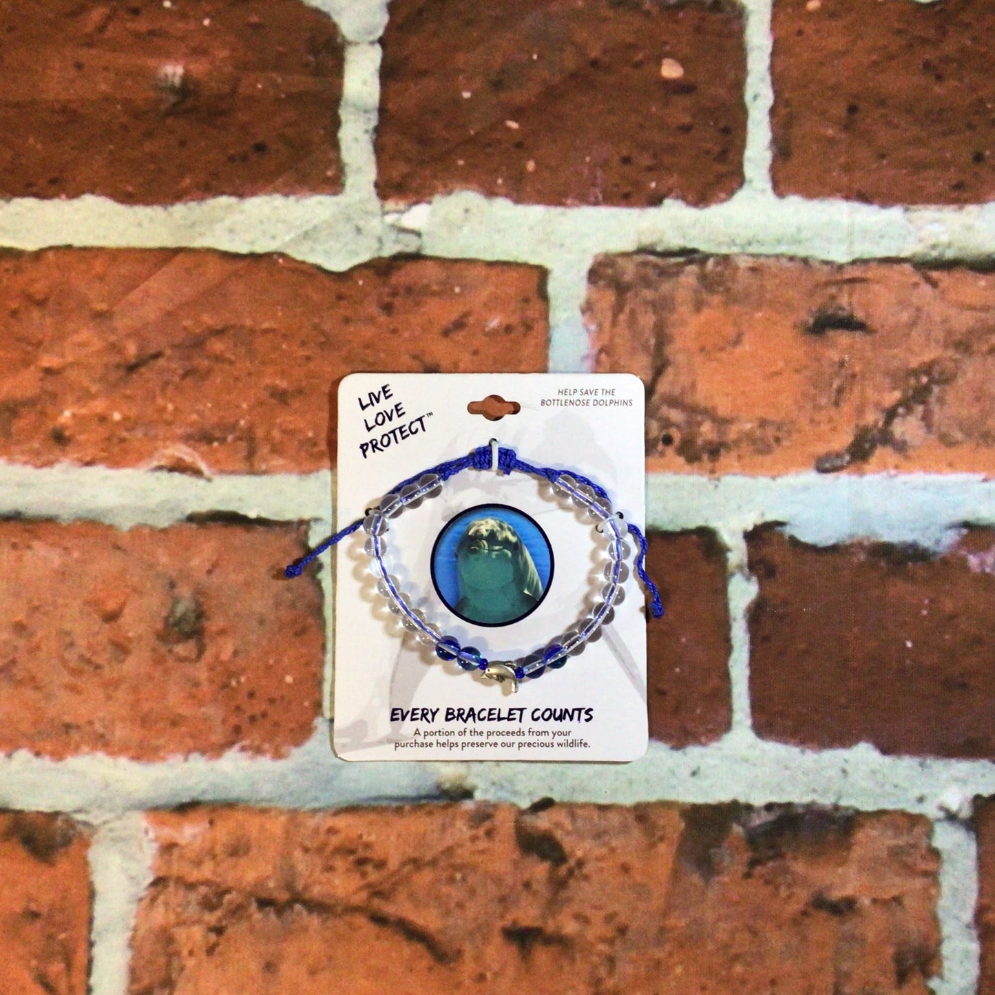 Live, Love, Protect Sea Life Bracelet