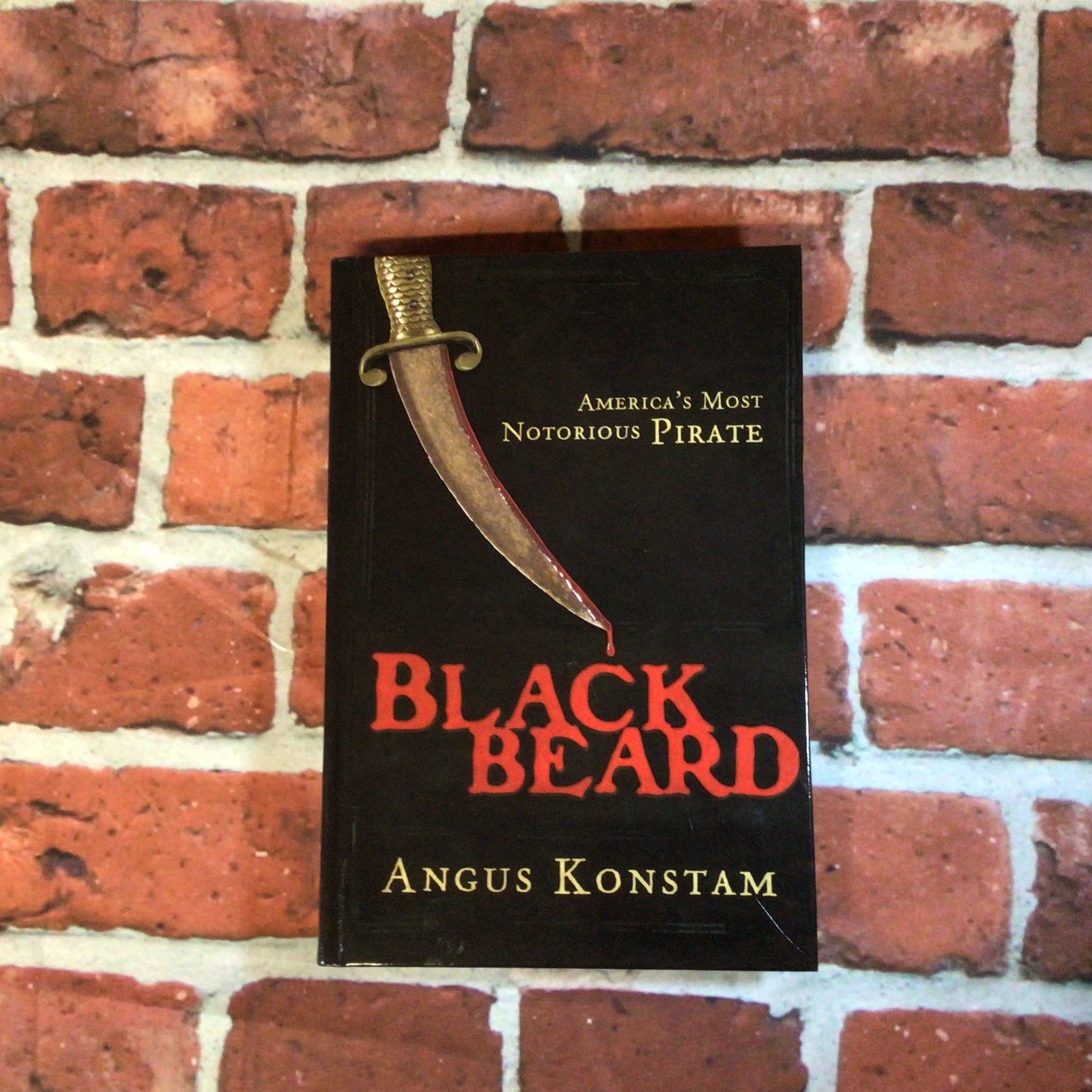 Blackbeard: America's Most Notorious Pirate