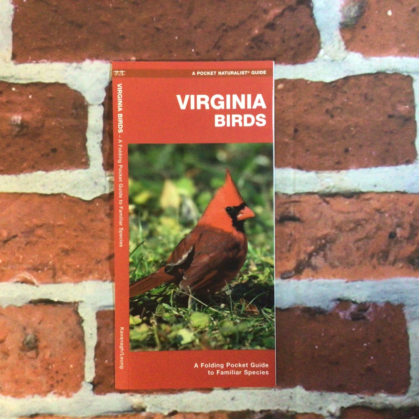 Pocket Guide to VA Birds