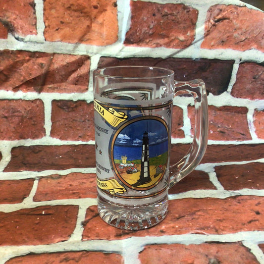 Glass Beer Mug 2 CH Established