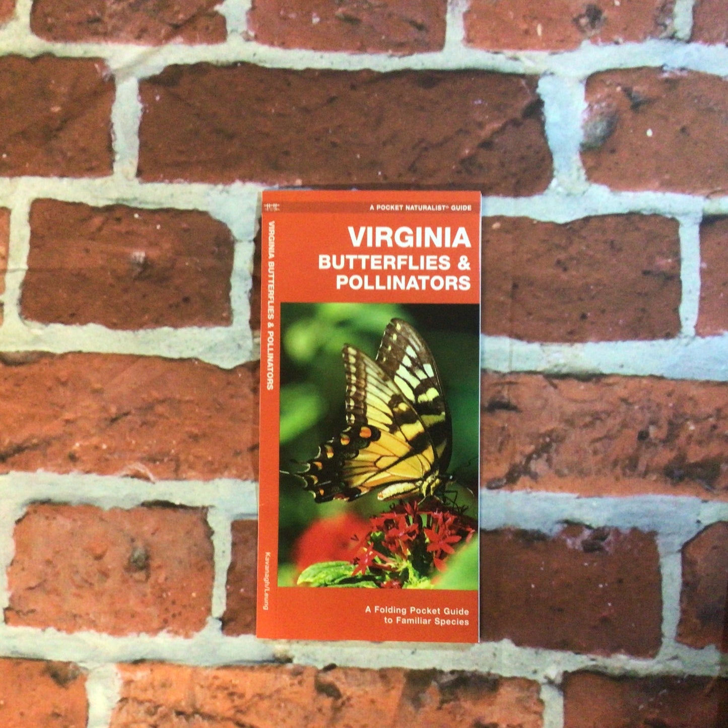 Pocket Guide Va Butterflies