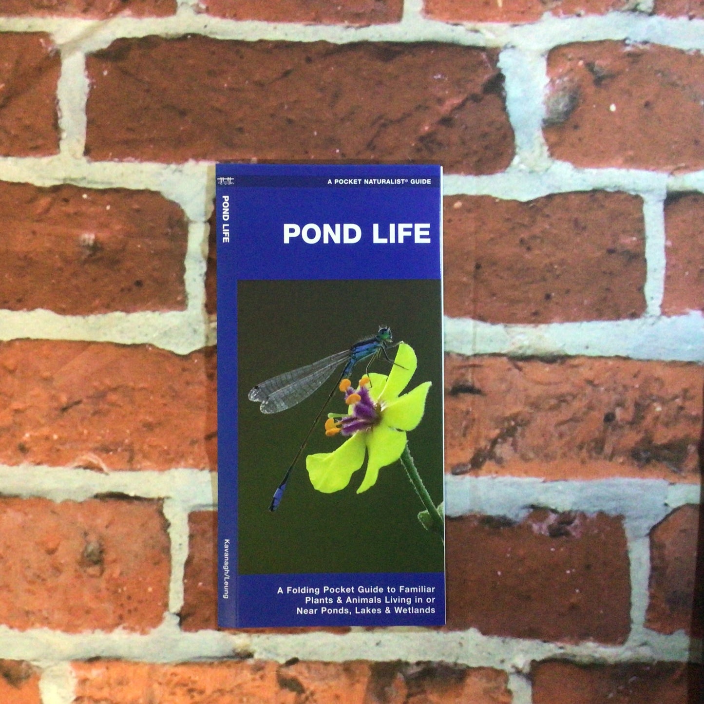 Pocket Guide Pond Life