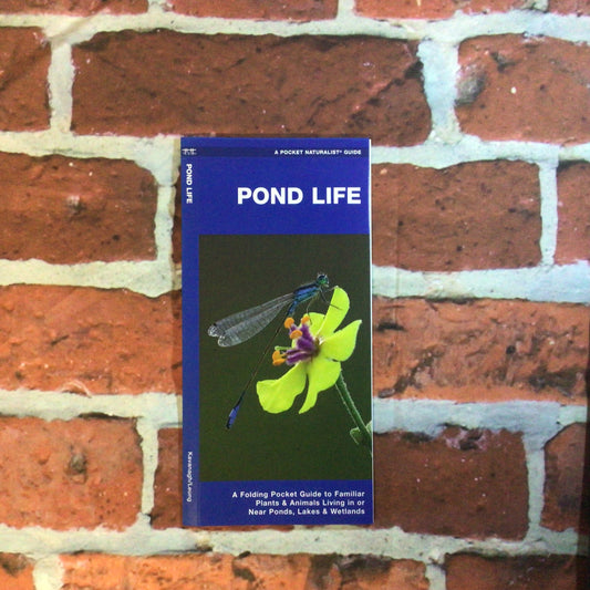 Pocket Guide Pond Life