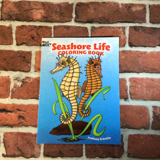 CB Seashore Life